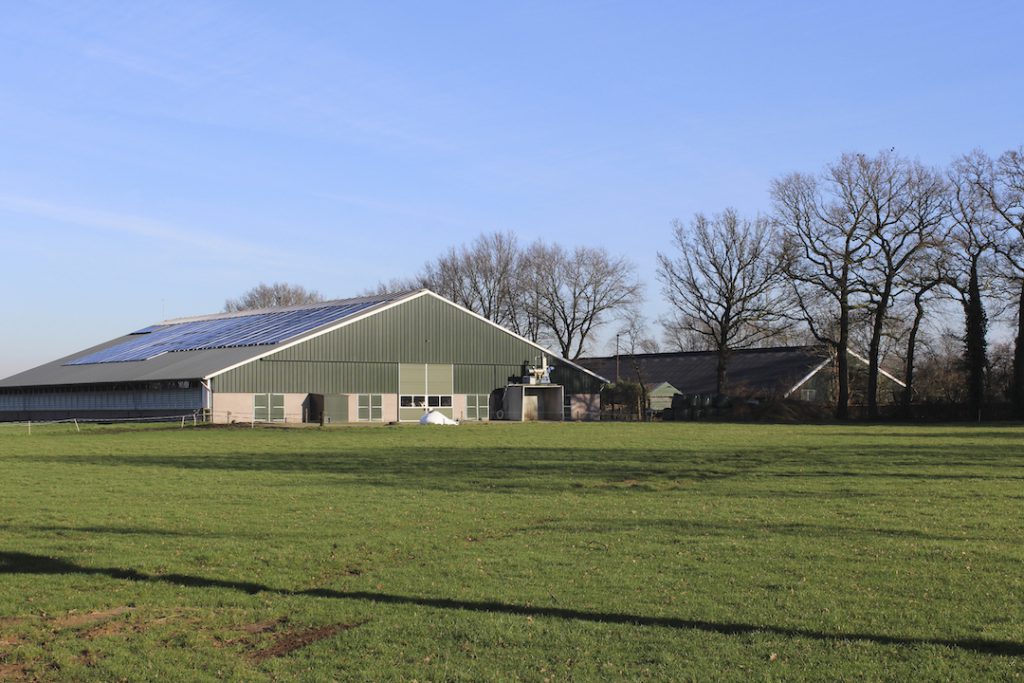 De koeienstal van de Eikenhof