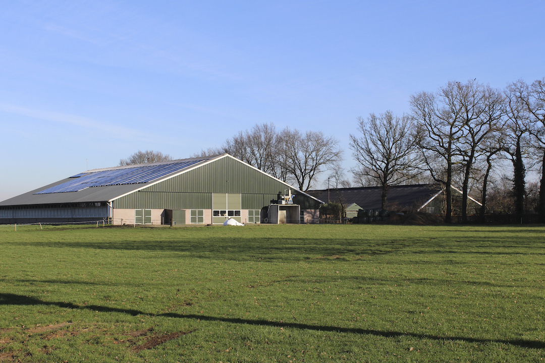 De koeienstal van de Eikenhof